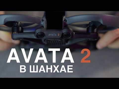 Видео: Dji Avata 2 Распаковка | Полет на дроне FPV |  Врезался в дерево