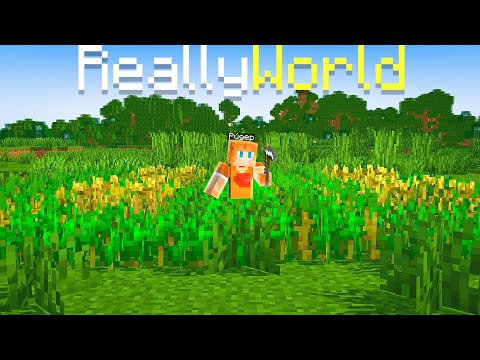 Видео: НАЧАЛО РАЗВИТИЯ С НУЛЯ #2 НА СЕРВЕРЕ REALLYWORLD