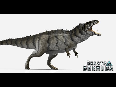 Видео: ГНЕЗДОВАНИЕ АКРО НА СЕРВЕРЕ  NORTH ISLAND (RP) RU