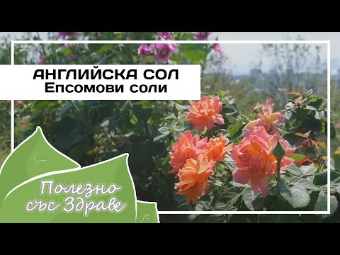 Видео: Английская соль (сульфат магния) - соль Эпсом для сада