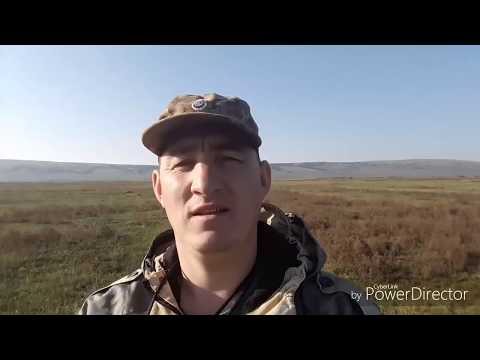 Видео: В поиски клада- Иркутская область