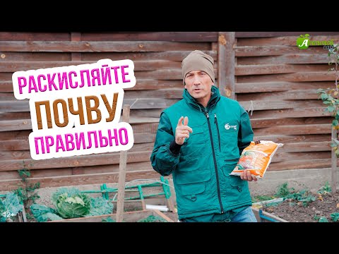 Видео: Раскисление почвы осенью. Как раскислить почву на огороде - САМЫЕ ЭФФЕКТИВНЫЕ СПОСОБЫ!