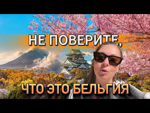 Видео: НЕ ПОВЕРИТЕ, ЧТО ЭТО БЕЛЬГИЯ 😍 🌸 ЦВЕТЕНИЕ САКУРЫ В ЯПОНСКОМ САДУ #натальядиллен #жизньвбельгии 