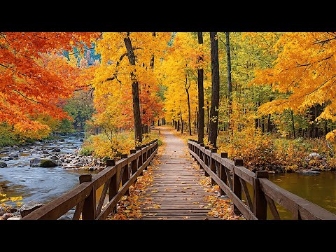 Видео: Прекрасная расслабляющая музыка 🍁 Глубокое расслабление и умиротворяющее пианино – Целительная...