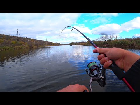Видео: Магія і рибалка. Що треба знати, щоб ловити щуку завжди? Психологія та відгуки на Мокру Масю!