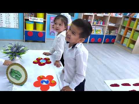 Видео: 5 ноября 2025 г.