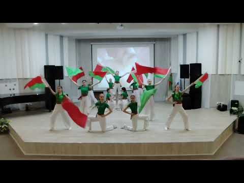 Видео: Смотр-конкурс "Флаг-шоу"(областной этап)