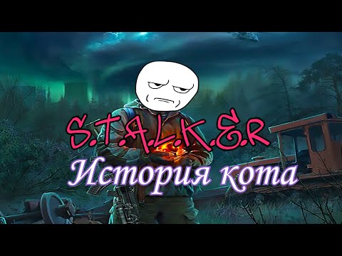 Видео: Сталкер История Кота