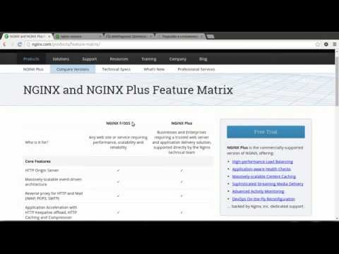Видео: Мастер-класс по настройке Nginx для ускорения сайтов от Николая Лавлинского