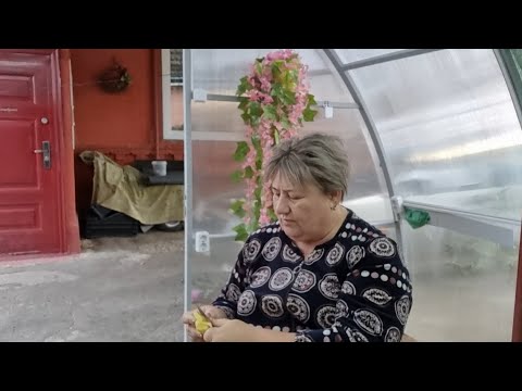Видео: Видео сегодняшнего дня! Четверг! А всем отличного настроения и дня!#Пасмурно и хмуро#Осень, красота!