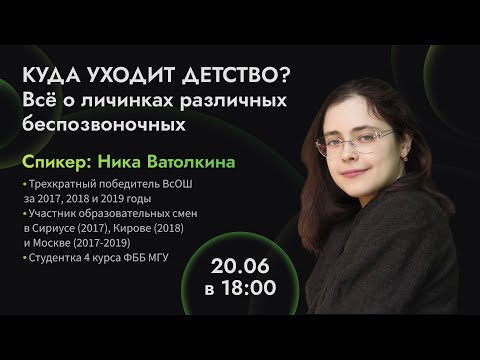 Видео: Все о личинках различных беспозвоночных