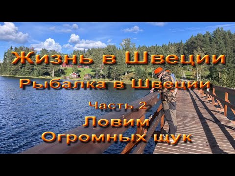 Видео: Жизнь в Швеции. Едем на рыбалку.  Часть 2  Ловим огромных щук.