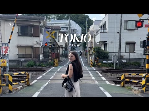 Видео: Гид по Токио: районы, вкусная еда и главные достопримечательности