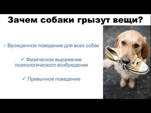 Видео: 2 часть Вокализация и деструктив