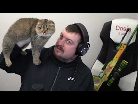 Видео: САМЫЕ СМЕШНЫЕ МОМЕНТЫ С DOSIA НА СТРИМЕ (CS:GO) #8