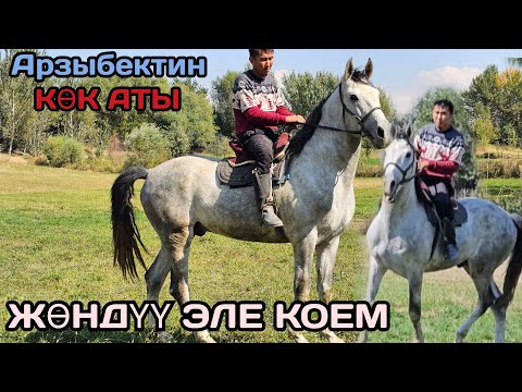 Видео: Арзыбектин ак боз аты 👍5 октября 2025 г.
