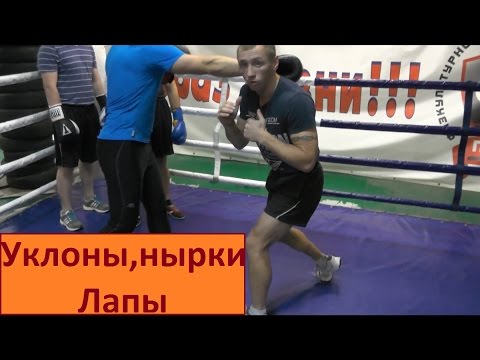 Видео: Бокс. Уклоны, нырки, лапы (Часть 10)