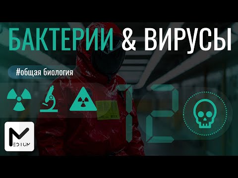 Видео: Бактерии & Вирусы для ЕГЭ по биологии / MEDium