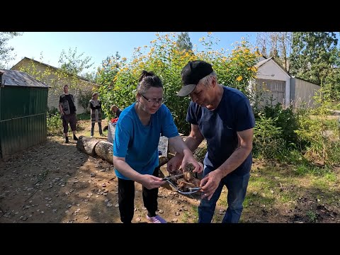 Видео: Сечинский дуэт готовит Чахохбили. Опасный дровосек, Нельзя обманывать огонь. Часть 1'