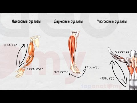 Видео: Общая артрология
