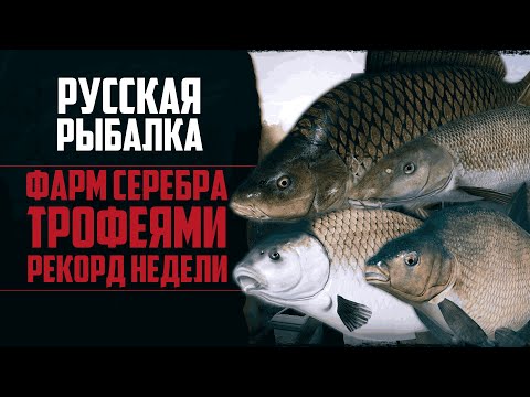 Видео: Новый Путь в РР4 #7 🔴 Рекордная Рыбалка | Быстрый Фарм Серебра | Трофей за Трофеем