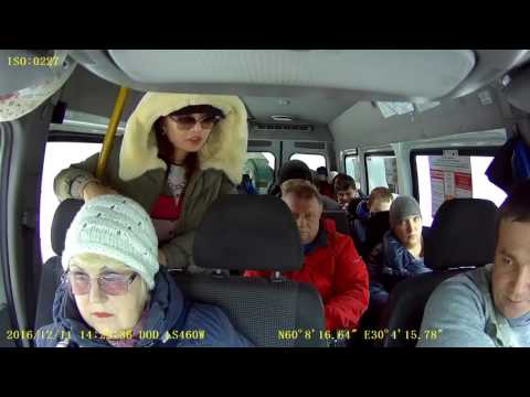 Видео: Буйная пассажирка