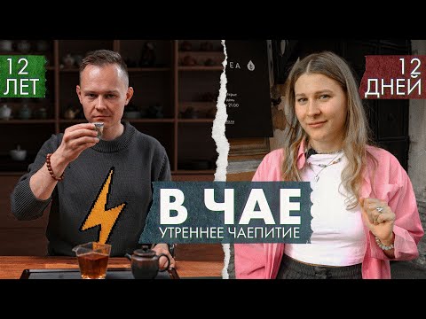 Видео: Что можно понять, если 12 лет пить чай? | Стрим Art of Tea