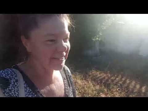 Видео: Вкуснячая ШАРЛОТКА с утра, на вечер в гости за едой. Что ни делай, их не спасти🥺