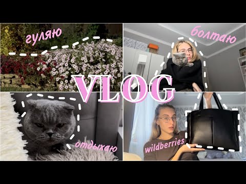 Видео: VLOG: МНЕ НЕЧЕГО ПОКАЗЫВАТЬ | БОЛТАЮ | МЕЧТЫ И ЦЕЛИ