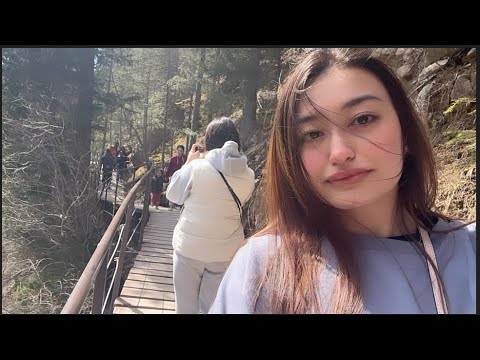 Видео: кольсай | чарын