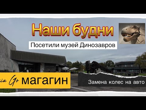 Видео: Наши будни , меняем колеса на авто , Китайская еда и музей динозавров.