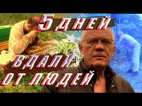 Видео: Кочевая пасека. БЫТ на пасеке. ЖИЗНЬ пчеловода на пасеке.