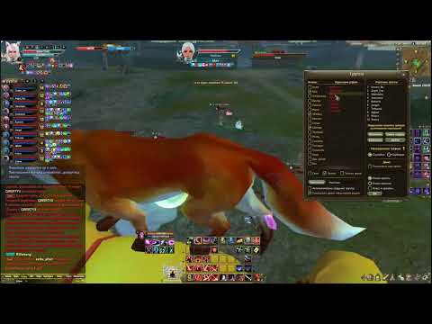 Видео: ГВГ. Order vs Murr
