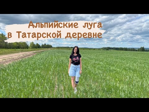 Видео: Татарская деревня с альпийскими лугами рядом с Казанью, приехали на озеро, и купили пирог с калиной.