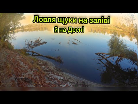 Видео: Спіймав щуку і знайшов весло.