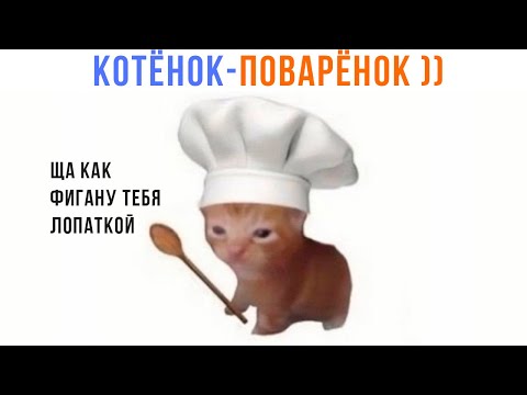 Видео: КОТЁНОК-ПОВАРЁНОК ))) | Приколы с котами | Мемозг 1444