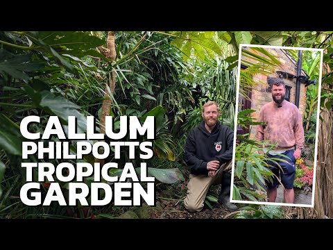 Видео: ТУР ПО ТРОПИЧЕСКОМУ САДУ - Каллум Филпотт Крис Бауэрс