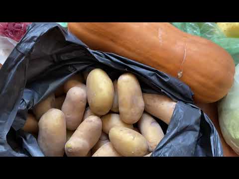 Видео: Пенсионер с базара на рыбалку