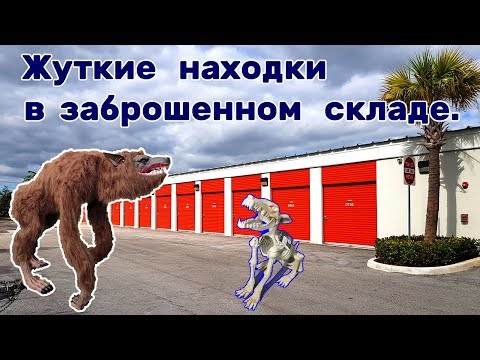 Видео: Жуткие находки в заброшенном контейнере. И айфон.