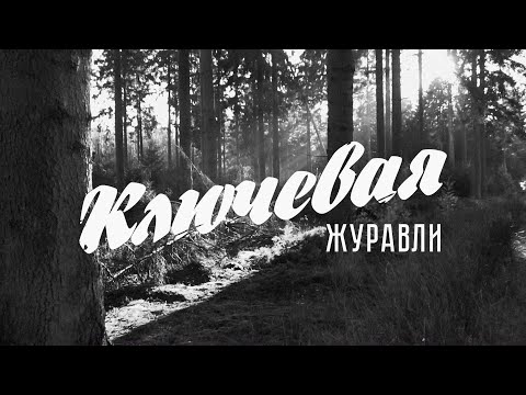 Видео: Ключевая — Журавли (Lyric video)