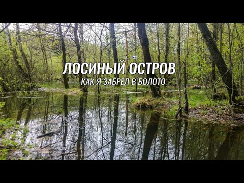 Видео: Веломаршруты Москвы ● Лосиный остров ● Погряз в болоте
