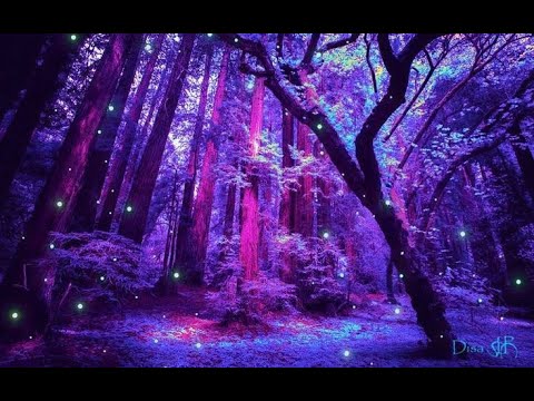 Видео: ЭНЕРГИИ СЕГОДНЯШНЕГО ДНЯ