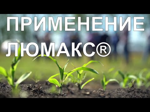 Видео: ЛЮМАКС® - отзывы, опыт агрономов, полевой тур