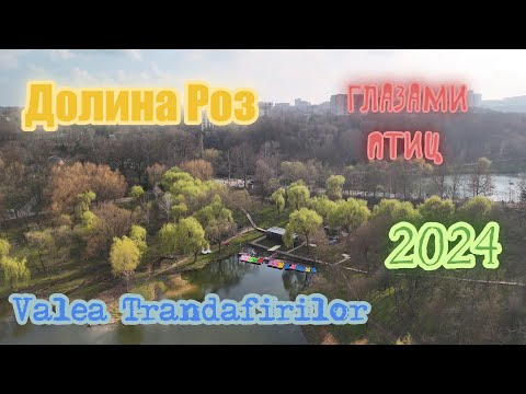 Видео: 🔥Долина Роз в Кишинёве глазами птиц 4к 2024 🔥