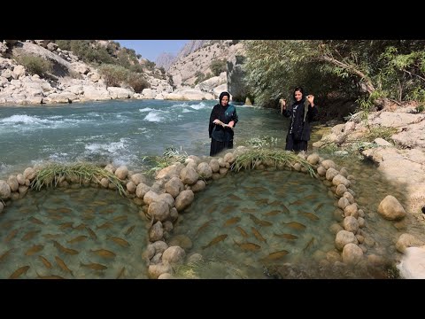 Видео: Секрет традиционной техники рыбной ловли девушек-кочевниц в самом сердце горных рек🎣