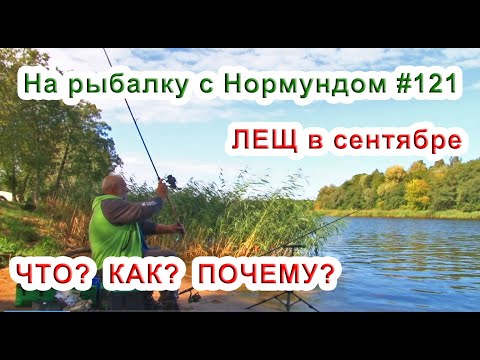 Видео: ЛЕЩ в сентябре. ЧТО? КАК? ПОЧЕМУ? / На рыбалку с Нормундом #121