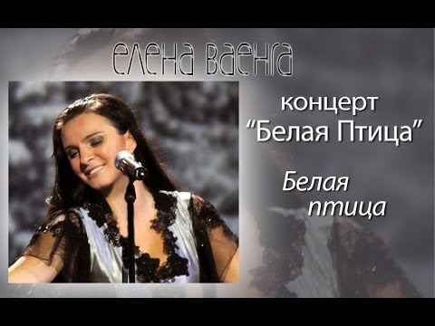 Видео: Елена Ваенга - Белая птица