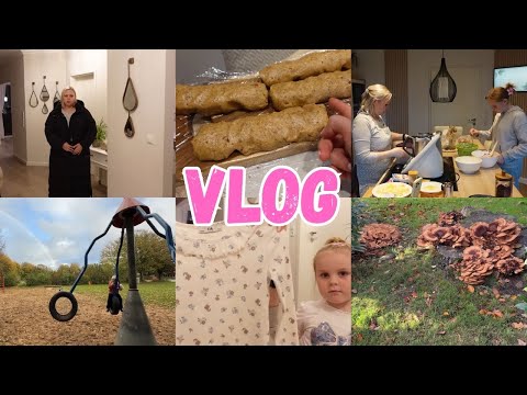 Видео: VLOG🇩🇪: 🌈ПРОГУЛКА/🥮НА КУХНЕ С ЮЛЕЙ/ ОБНОВКИ/СКОЛЬКО ГРИБОВ 🧐