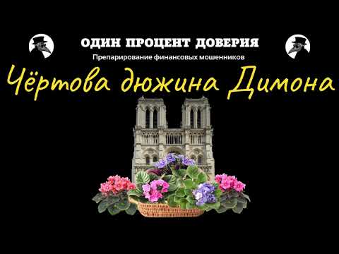 Видео: Чёртова дюжина Димона, или Фиалки в Париже
