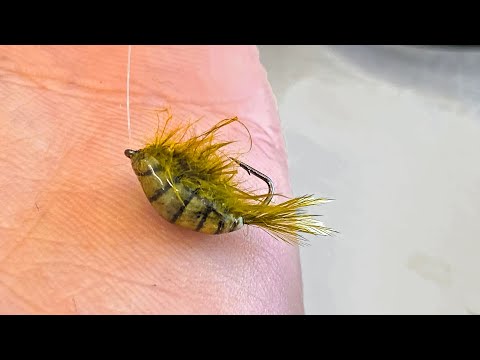 Видео: Карась зимой на ГОЛУЮ мормышку. Так можно было!? Зимняя рыбалка в Сибири